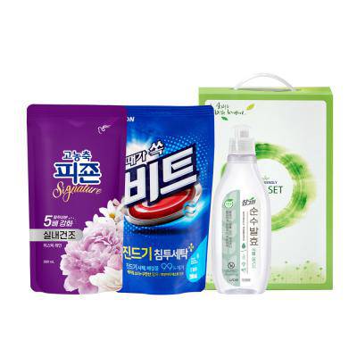 참그린식물 피죤 비트(3종)