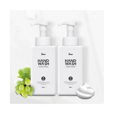 제타 포밍 손세정 핸드워시 500ml(청포도/자몽향)